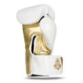 Boxerské rukavice DBX BUSHIDO B-2v19 10 oz