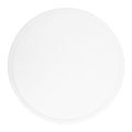 LED stropné svetlo Adviti VITO AD-PL-6514WLZM/CCT DO