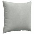 vidaXL Vankúše na pohovku 2 pcs Svetlosivá 45 x 45 cm