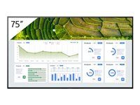 75" Trieda uhlopriečky BZ30L Series displej LCD s LED podsvietením - digital signage - Android TV - 4K UHD (2160p) 3840 x 2160 - HDR - Direct LED