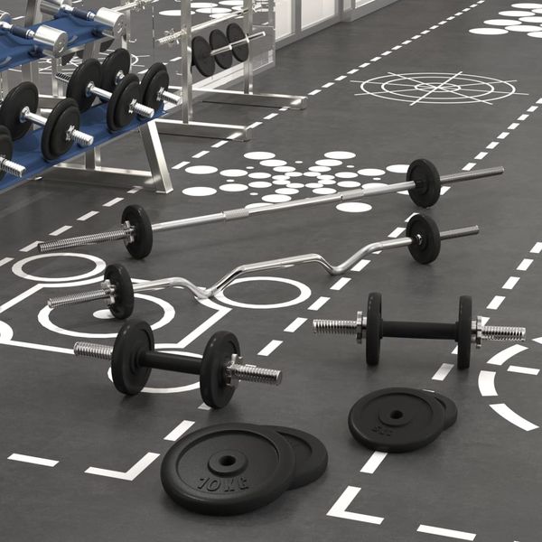 vidaXL Obojručná a jednoručná činka so závažiami 60 kg, liatina