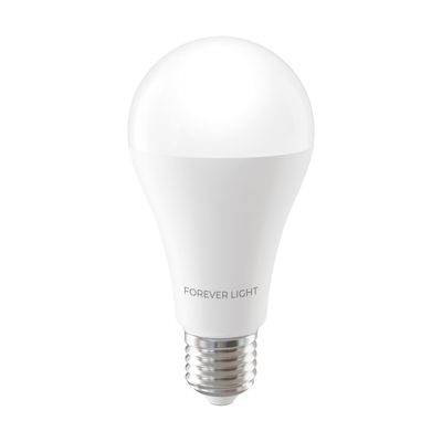 Forever Light LED Bulb E27 A65 17W 2100lm 4000K class E