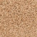 vidaXL Schodové rohože 15 ks 56x17x3 cm béžové, polkruhové