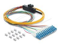 Delock Fibre Optic Pigtail Fanout Cable