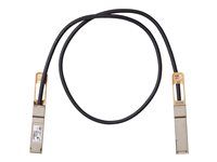 Kábel pre priame pripojenie - QSFP do QSFP - 2 m - diaxiálny - pasívny - pre Mellanox ConnectX-5 Ex EN; Nexus 93108TC-EX, 93180YC-FX, 9336C-FX2