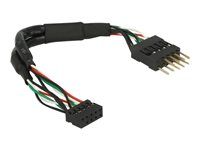 USB interní kabel - USB záhlaví 10 pinů (F) do USB záhlaví 10 pinů (M) - 12 m - černá