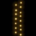 vidaXL Kompaktná LED reťaz, 2000 diód, teplá biela 45 m, PVC