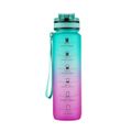 Tritanová fľaša na pitie NILS Camp NCD04 950 ml zeleno-ružová
