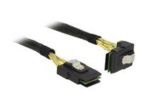 Interný kábel SAS - SAS 6Gbit/s - Mini SAS (SFF-8087) (M) rovný do Mini SAS (SFF-8087) (M) uhlový - 50 cm