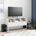 vidaXL TV skrinka biela 100,5x39x60,5 cm oceľ