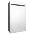vidaXL LED kúpeľňová zrkadlová skrinka žiarivá čierna 60x11x80 cm
