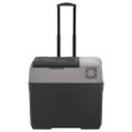 vidaXL Chladiaci box s kolieskom a adaptérom čierno-sivý 40 l PP