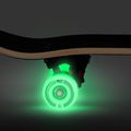 Skateboard NILS Extreme CR3108SA Lion