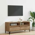 vidaXL TV skrinka 100 x 34,5 x 44,5 cm Remeselný dub