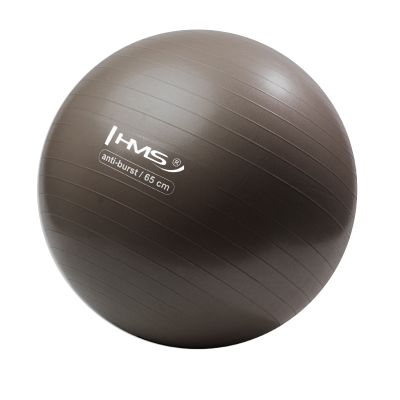 Gymnastická lopta HMS YB02N 65 cm bronzová