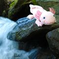 Plyšový axolotl 33 cm ECO-FRIENDLY