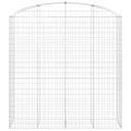 vidaXL Oblúkový gabionový kôš 200x50x200/220 cm pozinkované železo
