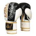 Boxerské rukavice DBX BUSHIDO B-2v16 12 oz