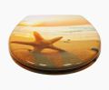 Schütte SEA STAR | Duroplast, Soft Close
