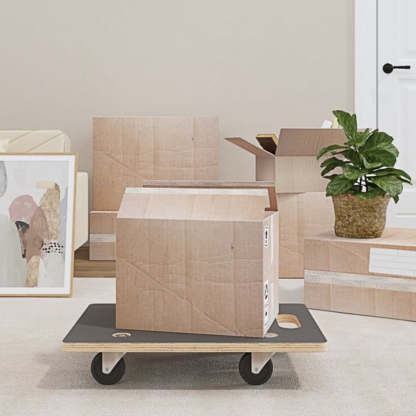 vidaXL Transportné vozíky 2 ks, obdĺžnikové 60x40x11,5 cm 250 kg
