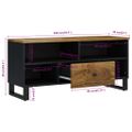 vidaXL TV skrinka 100x33x46 cm masívny mangovník a spracované drevo