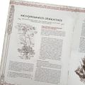 Jeden prsteň RPG: úvod do hry
