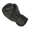 Boxerské rukavice DBX BUSHIDO B-2v18 10 oz