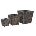 vidaXL Vyvýšené záhony 3 ks, vodný hyacint, hnedé