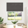 vidaXL plisovaná roleta čierna 105x150 cm Šírka látky 104,4 cm