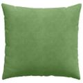 vidaXL Vankúše na pohovku 2 pcs Svetlo zelená 45 x 45 cm