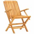vidaXL Skladacie stoličky 2 ks 61x67x90 cm Masívne teakové drevo
