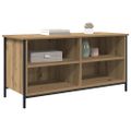 vidaXL TV skrinka 100 x 40 x 50 cm Remeselný dub Kompozitné drevo