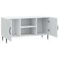 vidaXL TV skrinka Biela 102 x 34,5 x 50 cm Kompozitné drevo