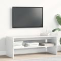 vidaXL TV skrinka biela 100x40x40 cm drevotrieska lesklá