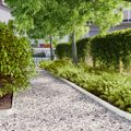 vidaXL Obrubník trávnika 10 ks 10 x 103 cm Biela