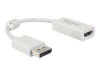 Nástroj na prevod videa - DisplayPort - HDMI - biela