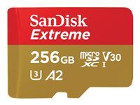 Pamäťová karta flash (adaptér microSDXC na SD v cene) – 256 GB – A2 / Video Class V30 / UHS-I U3 / Class10 – microSDXC UHS-I