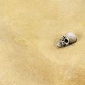 AK Interactive: Terrains - Desert Sand