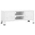 vidaXL Industriálna TV skrinka biela 105x35x42 cm kovová