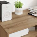 vidaXL TV skrinka 100 x 48 x 43 cm Remeselný dub Kompozitné drevo