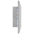 vidaXL Kúpeľňové zrkadlo s LED, betónovo sivé 80x8,5x37cm, akryl