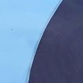 vidaXL Splash pad pre deti a psov Modrá Ø200 x 9 cm PVC