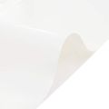 vidaXL Celta, biela 1,5x10 m 650 g/m²