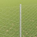 vidaXL Hexagonálny plot s stĺpom 50 x 1,5 m Pozinkovaná oceľ Sieťovina