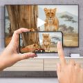 TESLA - SET MediaBox XA400 Android TV + Shaks S5b