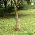 vidaXL Valec z juty 0,25x15 m 100 % juta 200 gsm