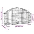 vidaXL Oblúkový gabionový kôš 100x30x40/60 cm pozinkované železo