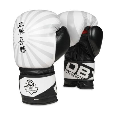 Boxerské rukavice DBX BUSHIDO B-2v8 14 oz