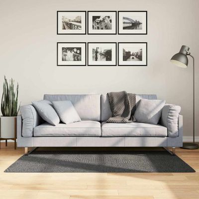vidaXL Koberec IZA krátky vlas škandinávsky vzhľad antracit 80x150 cm