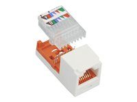 Modul - CAT 5e - UTP - RJ-45 - arktická biela